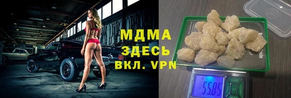 индика Бородино