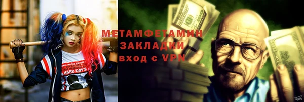индика Бородино