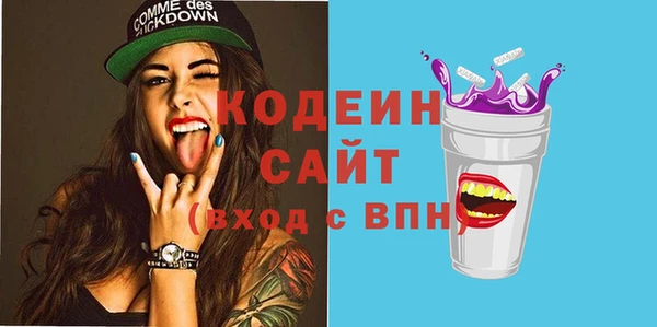 индика Бородино