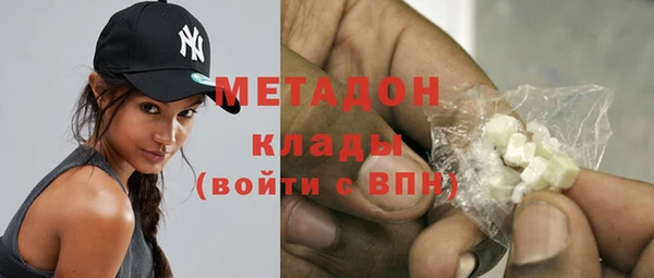 индика Бородино