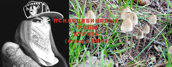 сатива Верея