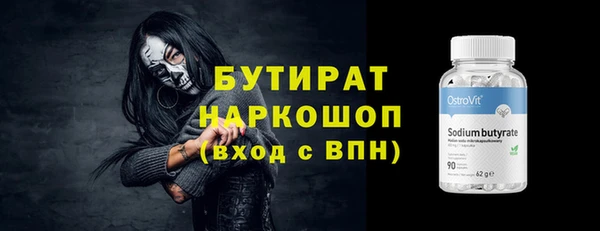 индика Бородино