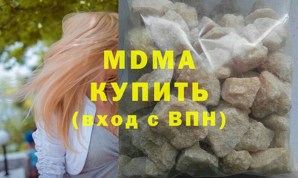 индика Бородино