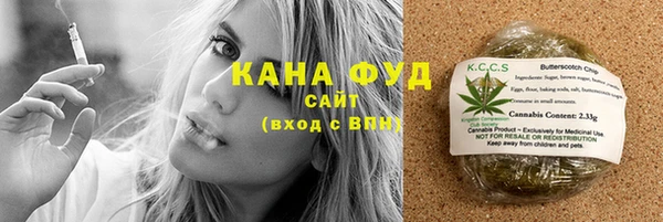 индика Бородино