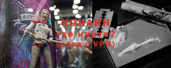 индика Бородино