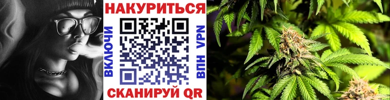 наркотики  Кизилюрт  Канабис индика 